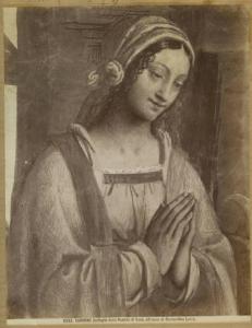 Luini, Bernardino - Natività (part.) - Affresco - Saronno - Santuario della Beata Vergine dei Miracoli