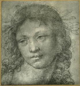 Pittore lombardo sec. XVI - Testa di giovane uomo (Apollo?) - Disegno - Parigi