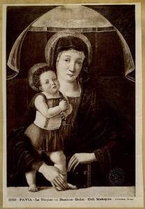 Bellini, Giovanni - Madonna con Bambino - Dipinto - Tempera su tavola - Pavia - Pinacoteca Malaspina