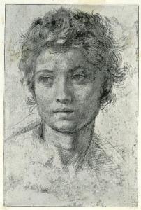 Andrea d'Agnolo detto Andrea del Sarto - Testa di giovane - Studio per san Giovanni Battista - Disegno - Londra - British Museum - Department of Prints and Drawings