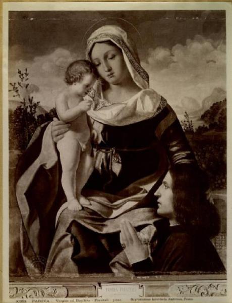 Previtali, Andrea detto Cordeliaghi - Madonna con Bambino e donatore - Dipinto su tavola - Padova - Musei Civici agli Eremitani