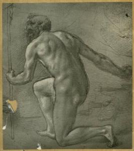 Allievo di Leonardo da Vinci - Studio per san Girolamo - Disegno - Windsor - Royal Library