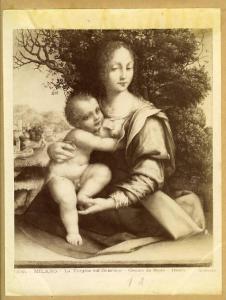 Cesare da Sesto - Madonna con Bambino (La Madonna dell'albero) - Dipinto - Olio su tavola - Milano - Pinacoteca di Brera