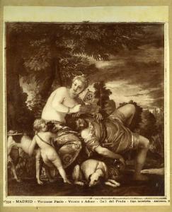 Caliari, Paolo detto Veronese - Venere e Adone dormiente - Dipinto - Olio su tela - Madrid - Prado