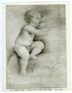 Cesare da Sesto - Bambino dormiente - Disegno - Torino - Biblioteca Reale