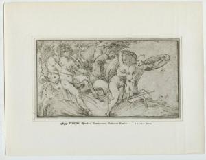 Autore sec. XVI - Studio di figure per scena mitologica - Disegno - Torino - Boblioteca Reale