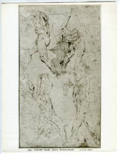 Autore sec. XVI - Studi di nudi maschili in movimento - Disegno - Torino - Boblioteca Reale