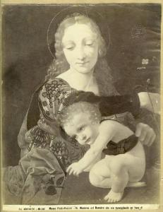 Boltraffio, Giovanni Antonio - Madonna con Bambino che raccoglie un fiore - Dipinto - Olio e tempera su tavola - Milano - Museo Poldi Pezzoli