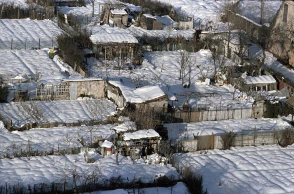 Sesto San Giovanni - Parco Nord, settore Torretta sotto la neve - Veduta dall'alto da casa di Sandra Macchi - Orti abusivi dietro Villa Torretta - Neve - Inverno