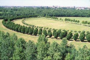 Cinisello Balsamo - Parco Nord, settore Est - Veduta dall'alto della Grande Rotonda (Gorki) - Filari di alberi e aree boschive - Sullo sfondo Milano e Bresso