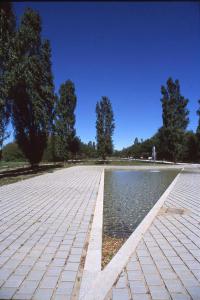 Cinisello Balsamo - Parco Nord, settore Est - Fontana Triangolare - Alberi (pioppo cipressino)