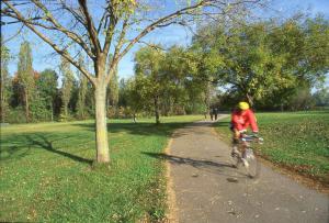 Sesto San Giovanni - Parco Nord, settore Montagnetta - Percorso ciclopedonale nei pressi del Centro Scolastico Parco Nord - Ciclista con bicicletta da corsa - Alberi - Persone a passeggio