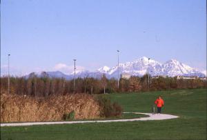 Sesto San Giovanni - Parco Nord, settore Montagnetta - Percorso ciclopedonale che costeggia il canale del laghetto artificiale Suzzani - Uomo che conduce a mano la bicicletta - Prati - Canne - Inverno - Sullo sfondo le Alpi