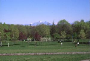 Sesto San Giovanni - Parco Nord, settore Est - Binario Breda - Area pic-nic - Prato - Percorso ciclopedonale - Alberi - Adulti e bambino che giocano - Sullo sfondo le Alpi