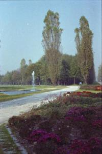 Cinisello Balsamo - Parco Nord, settore Est - Fontana Triangolare - Filari di alberi - Percorsi ciclopedonali - Fiori