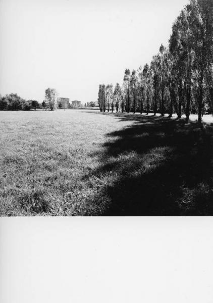 Cinisello Balsamo - Parco Nord, settore Est - Filare dei pioppi cipressini - Prato - Sullo sfondo palazzi di Milano