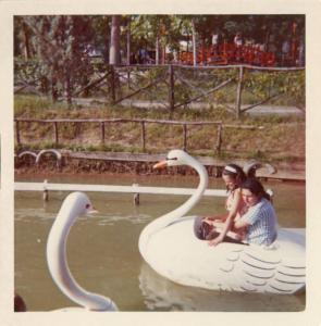 Colonia estiva degli allievi della scuola elementare dell'Istituto dei Ciechi di Milano - Visita a un parco attrezzato - Lago artificiale - Cigni a barca