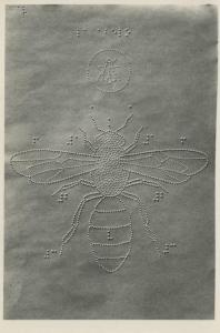 Riproduzione di materiale didattico per ciechi con disegni punteggiati in rilievo - Insetti: mosca - Scrittura in braille