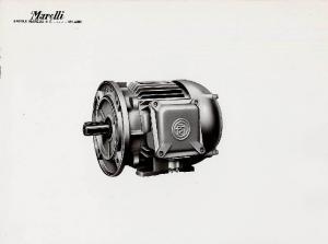 Ercole Marelli (Società) - Motore NV