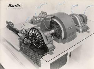 Ercole Marelli (Società) - Alternatore per la Centrale di Cimego della Società idroelettrica Alto Chiese - Modello