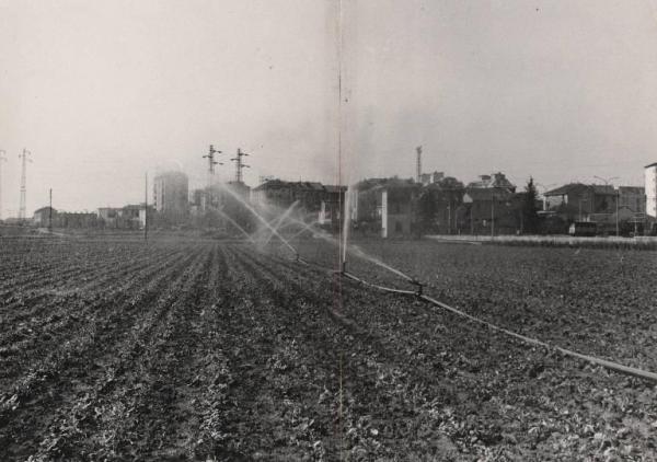 Campagna intorno a Milano - Campo coltivato - Irrigazione
