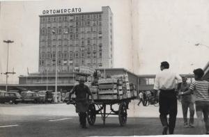 Milano - Nuovo Ortomercato - Viale interno - Lavoratore traina un carretto carico di cassette di frutta e verdura - Insegna Ortomercato