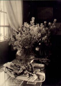 Bottega d'Arte SAR di Como - interno - vaso di fiori e foulard