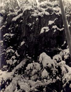 Veduta invernale - alberi e rocce coperti di neve