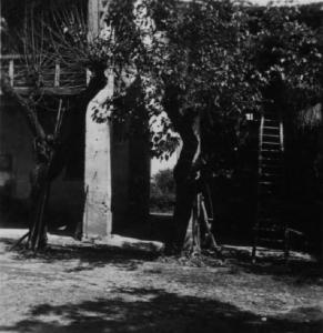 Scena del film "Giacomo l'idealista" - Regia Alberto Lattuada - 1943 - Set del film, cortile