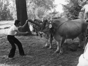 Set del film "Oh! Serafina" - Regia Alberto Lattuada - 1976 - Un operatore della troupe traina due buoi legati a un carretto guidato dall'attore Renato Pozzetto