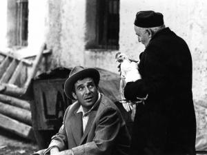 Scena del film "L'ape regina - Una storia moderna" - Regia Marco Ferreri - 1963 - L'attore Ugo Tognazzi e un attore non identificato con una gallina in mano
