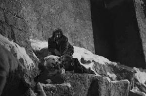 Scena del film "Beatrice Cenci" - Regia Guido Brignone - 1941 - L'attore Giulio Donadio, un cane e un attore non identificato