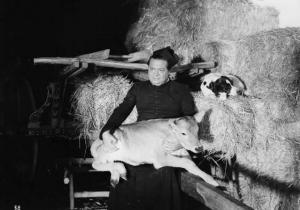 Scena del film "Benvenuto, reverendo!" - Aldo Fabrizi - 1949 - L'attore Aldo Fabrizi in tonaca da prete in un fienile con una mucca e un cane