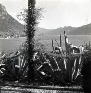 Vista sul lago dal giardino di Villa Monastero
