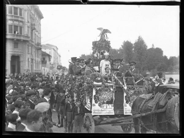 Pavia - Piazza Castello - 3° Festa nazionale dell'uva - Carro trainato da un cavallo decorato con grappoli d'uva, tralci di vite e mosca gigante - Giovane donna in abito bianco con banda