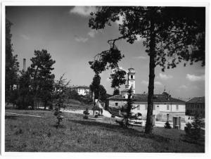 Chignolo Po - Scorcio del paese con la chiesa di Santa Maria in Valle sullo sfondo - Albero in primo piano a destra