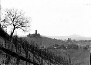 Canneto Pavese - Panorama - Castello Malpaga sullo sfondo - Vigneti duranta la stagione invernale in primo piano