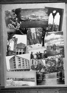 Pavia - fotomontaggio - vedute della città - palazzo con negozio - Caser