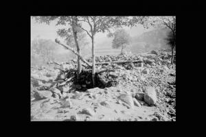 Torrente Cobello - Alluvione - Danni ai terreni circostanti