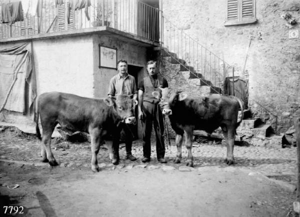 Malegno - Edificio rurale - Due contadini con una coppia di bovini