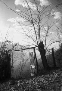Valle Camonica - Cancello in legno e albero