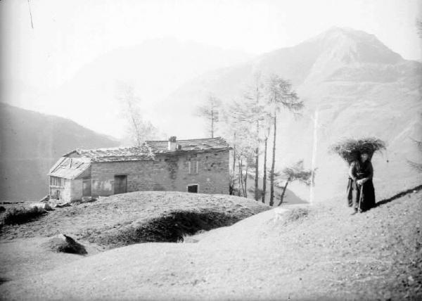 Saviore dell'Adamello - Alpeggio - Contadina con gerla