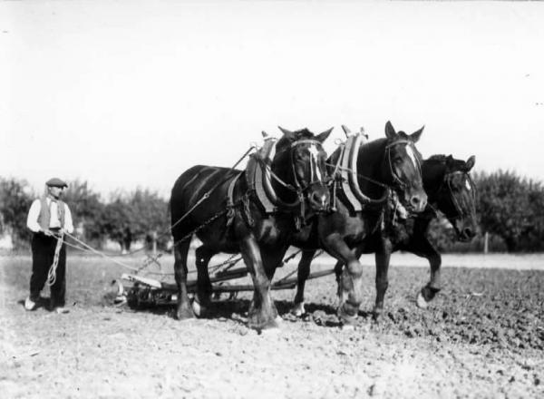 Aratura - Contadino con aratro trainato da cavalli