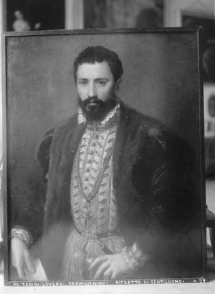 Dipinto - Ritratto d'uomo con barba - Parmigianino - Lovere - Galleria Tadini