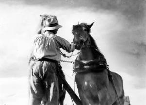 Lavoro agricolo - Contadino con cavalli al giogo