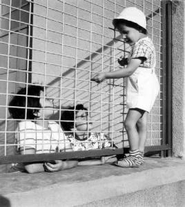 Bambini parlano attraverso una recinzione