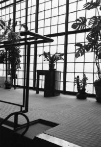 Parigi. Architetture di Pierre Chareau: La casa di vetro. - Interni. Soggiorno con piante ornamentali.