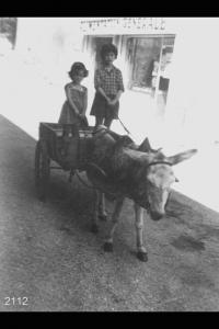 Le sorelle Patrizia e Maria Josè Pizzagalli, da Brumano. Due bambine su di un carretto trainato da un asino.
