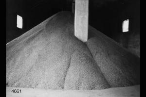 Risicoltura in Lomellina - Deposito di riso