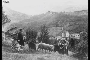 Donne con gerla e bambini conducono pecore e capre al  pascolo.